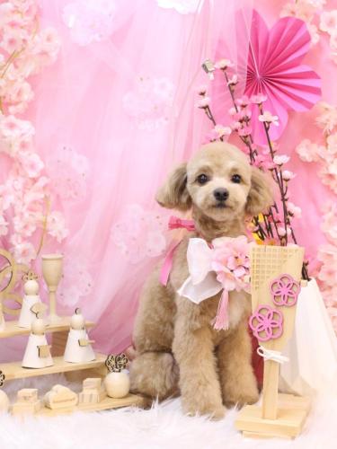 20250305レオくん